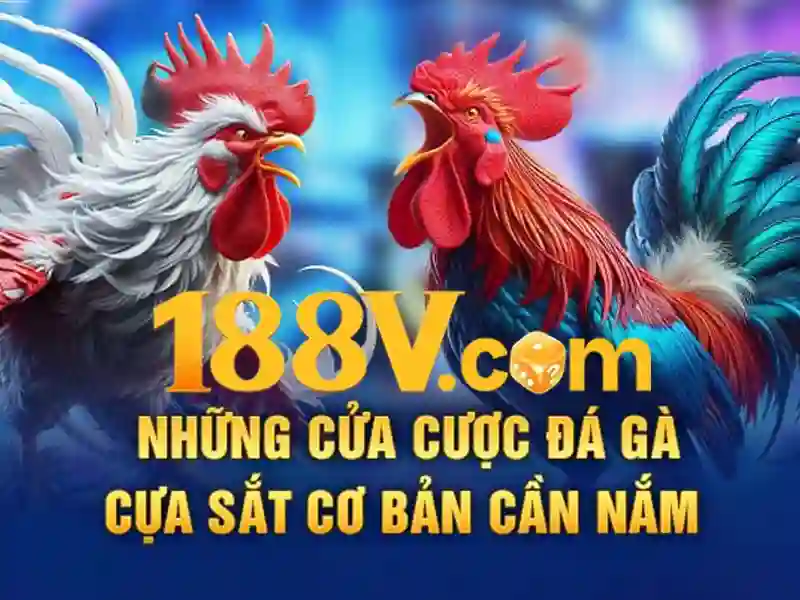 Sản phẩm và dịch vụ cốt lõi của 188v papagaiofllores.ru.com