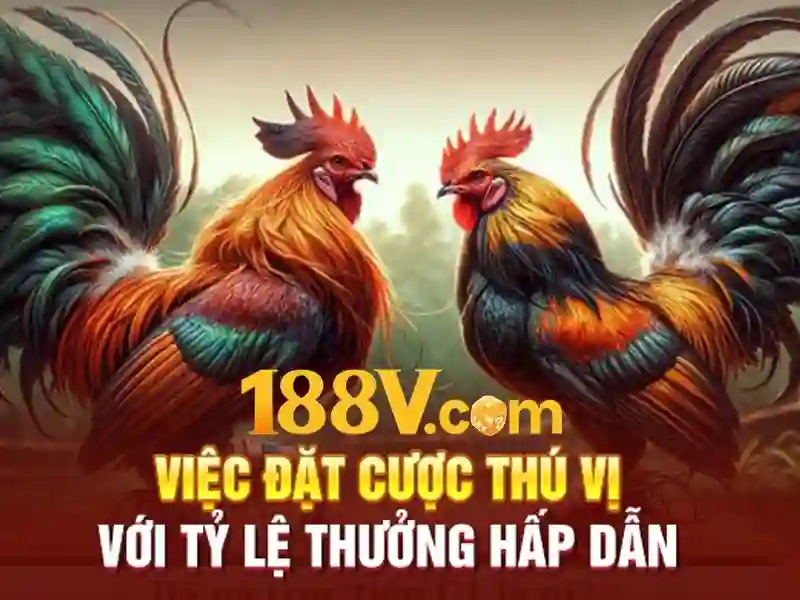 Ví dụ minh họa với 188v Ví dụ minh họa với 188v