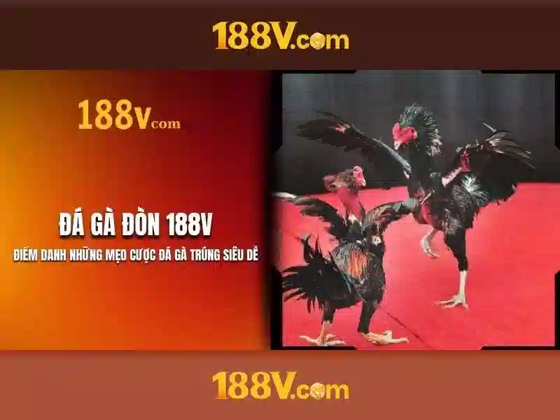 Khởi đầu của 188v Khởi đầu của 188v