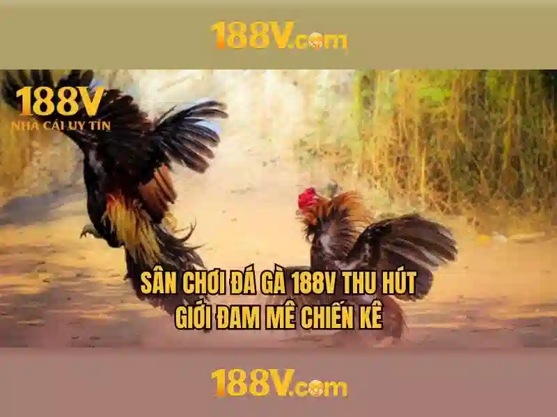188V: Hành trình khám phá điện áp và ý nghĩa của con số