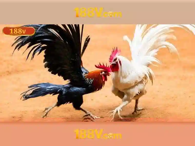 188v: một khái niệm đang nổi lên