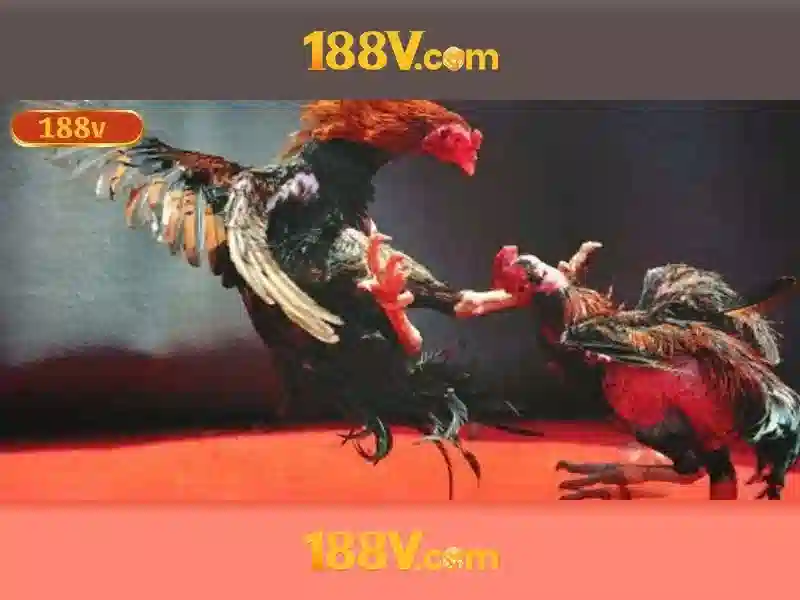 Nguồn gốc và triết lý đằng sau 188v Nguồn gốc và triết lý đằng sau 188v