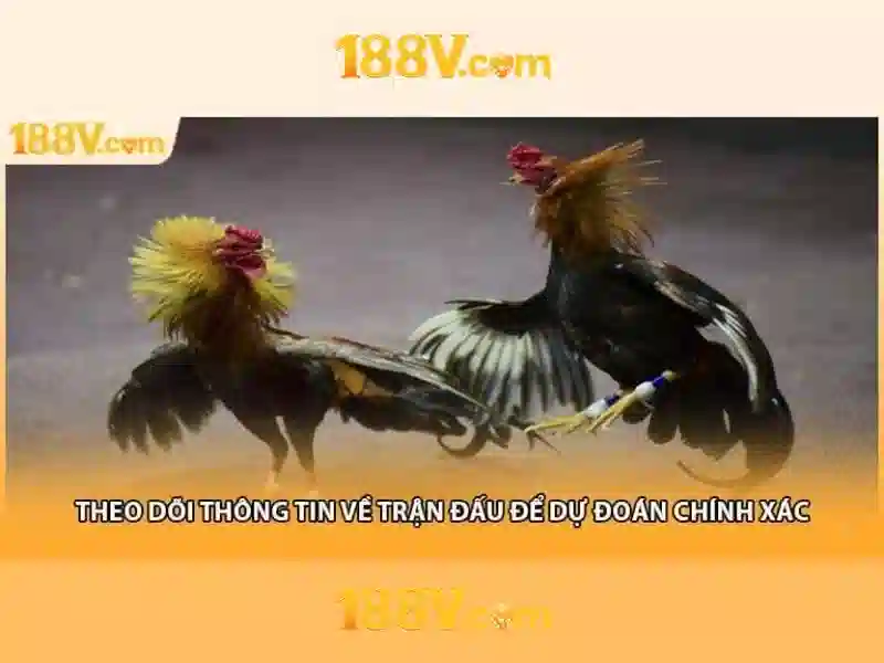 188v — một khái niệm kết nối giữa công nghệ và nghệ thuật