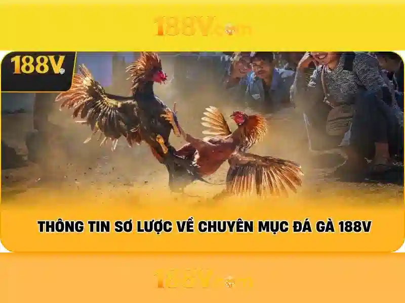 Lý thuyết nền tảng của 188V