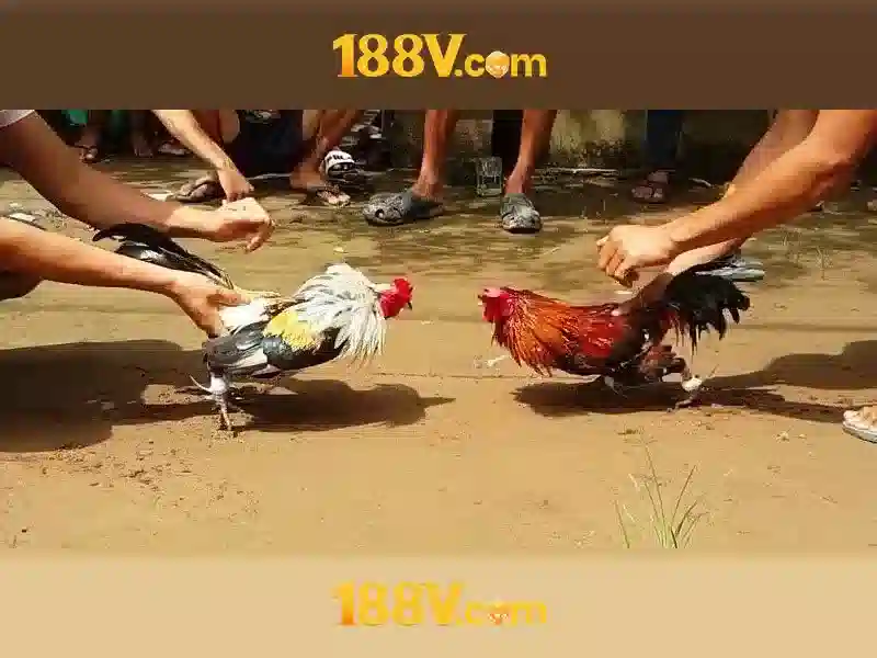 188v vom – Trải nghiệm casino 188v và đánh giá uy tín