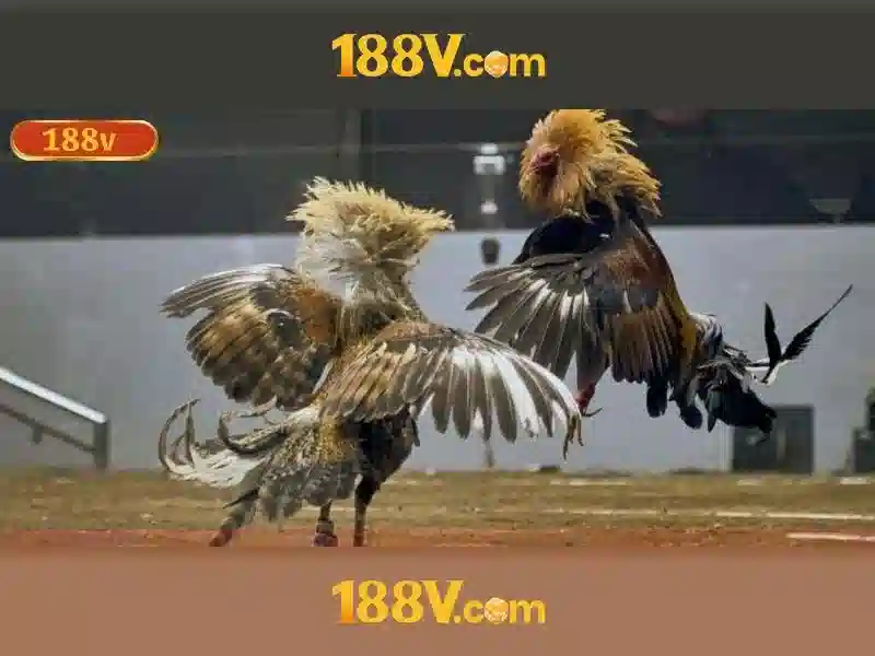 188v: Hành trình của một khái niệm công nghệ