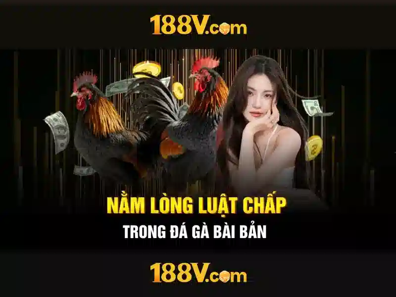 188v đang nhập – trải nghiệm đỉnh cao và hành trình thương hiệu