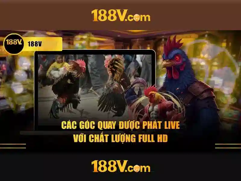 188v trong đời sống số