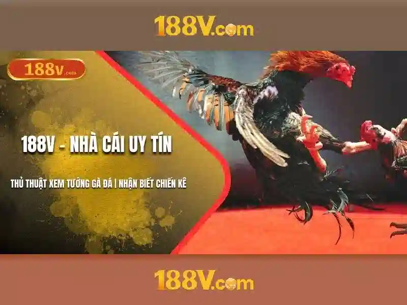 188v com vn: Khám phá nền tảng game 188v và 188v com ios
