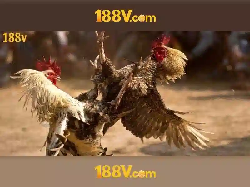 Tổng quan giftcode 188v