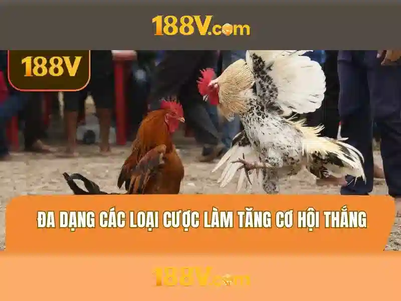 Tóm tắt và lời mời trải nghiệm