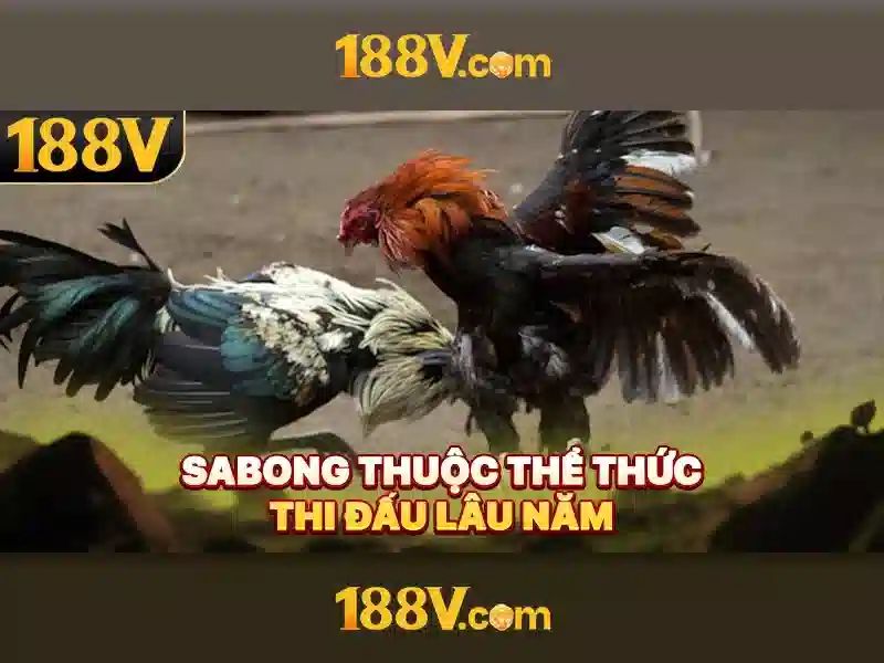 Khái niệm 188v