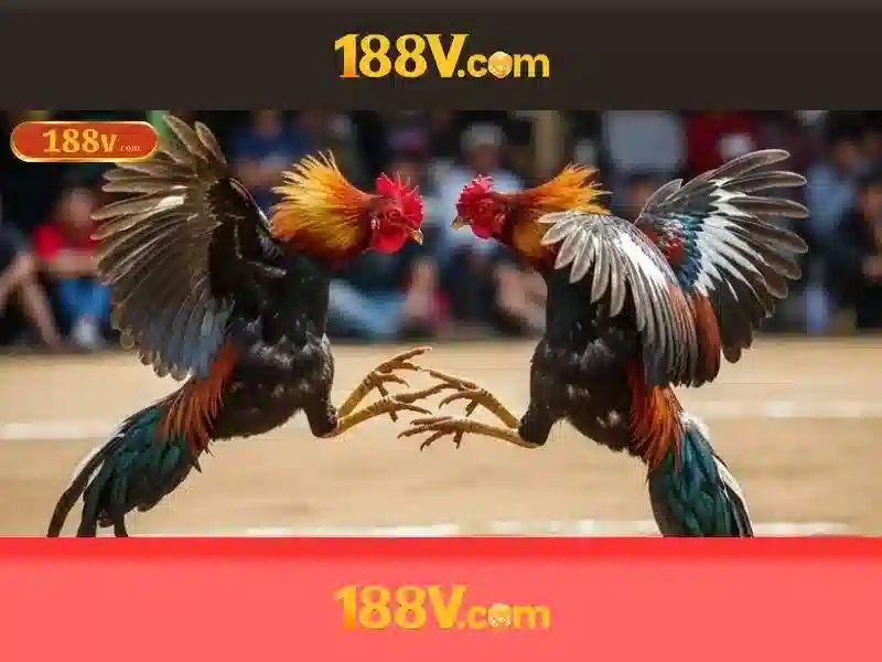 188v trong thời đại số hóa