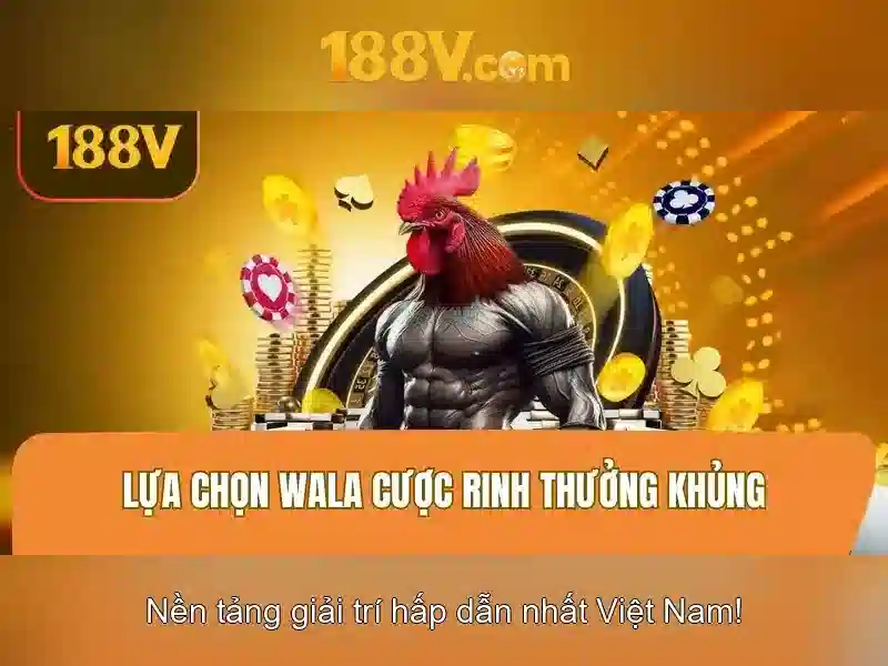 188v: Nền tảng video trực tuyến và cộng đồng sáng tạo