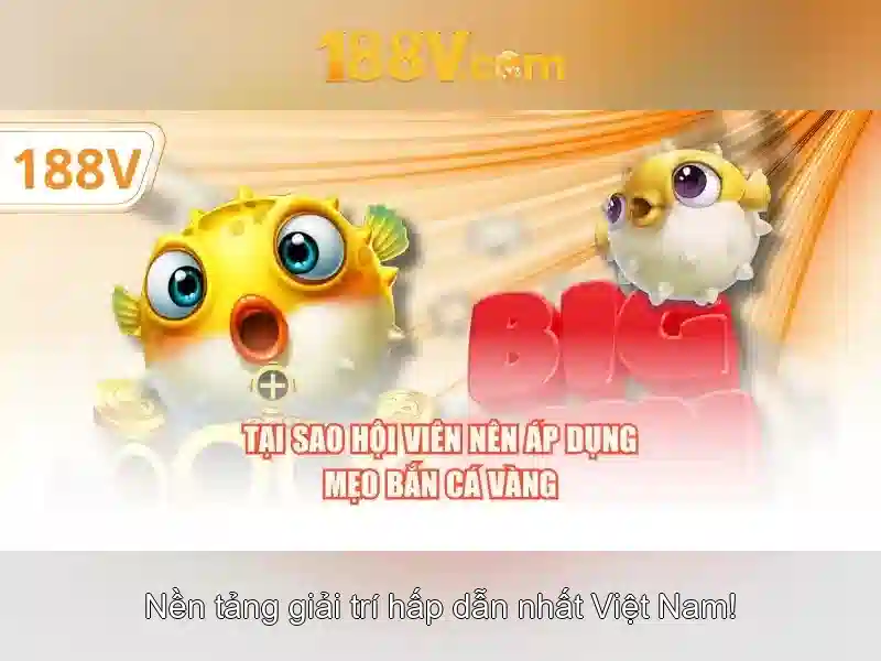 Thách thức và triển vọng Thách thức và triển vọng