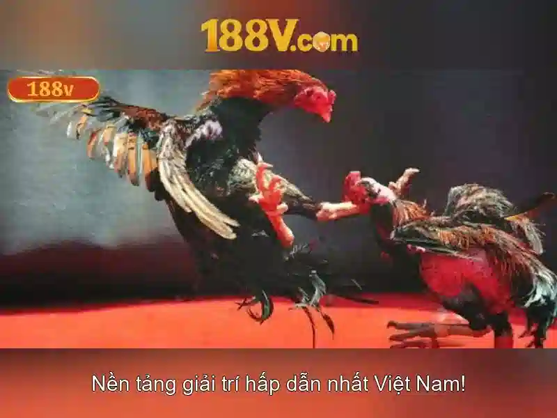Khám phá cấu trúc và ứng dụng