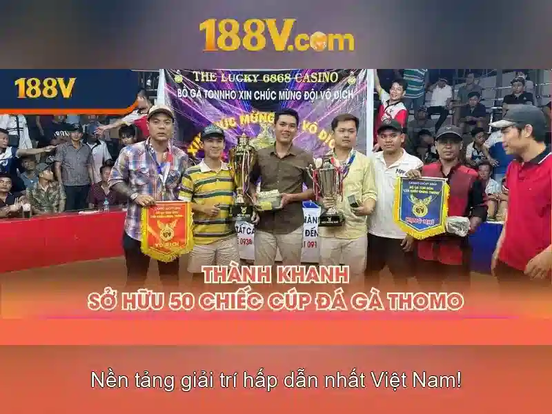 Trải nghiệm người dùng và phản hồi cộng đồng