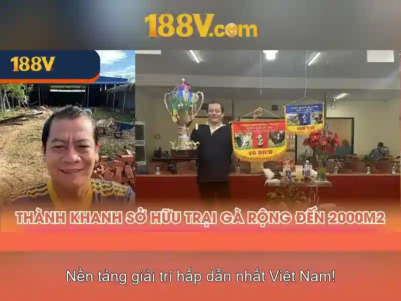 Cấu trúc và tính năng Cấu trúc và tính năng
