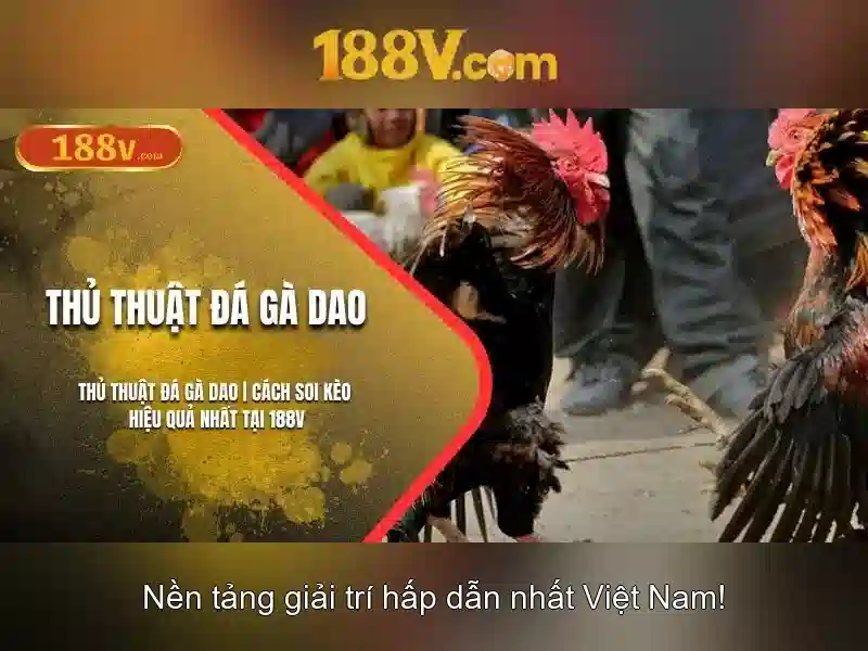 Ứng dụng thực tiễn của 188v Ứng dụng thực tiễn của 188v