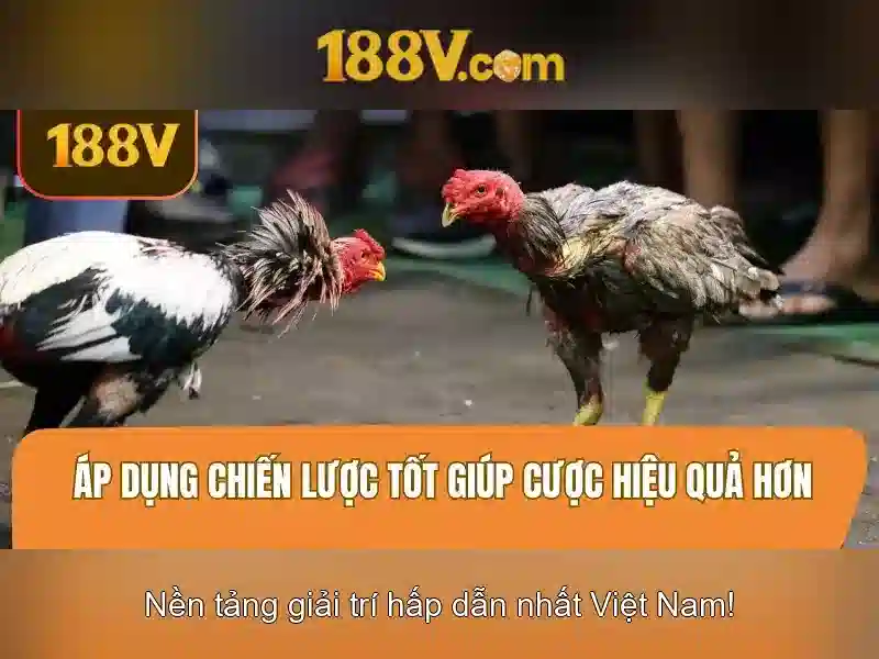 Khung tương lai và kết luận