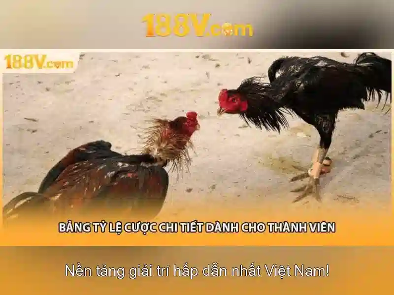 188v: một hành trình giữa nghệ thuật và khoa học