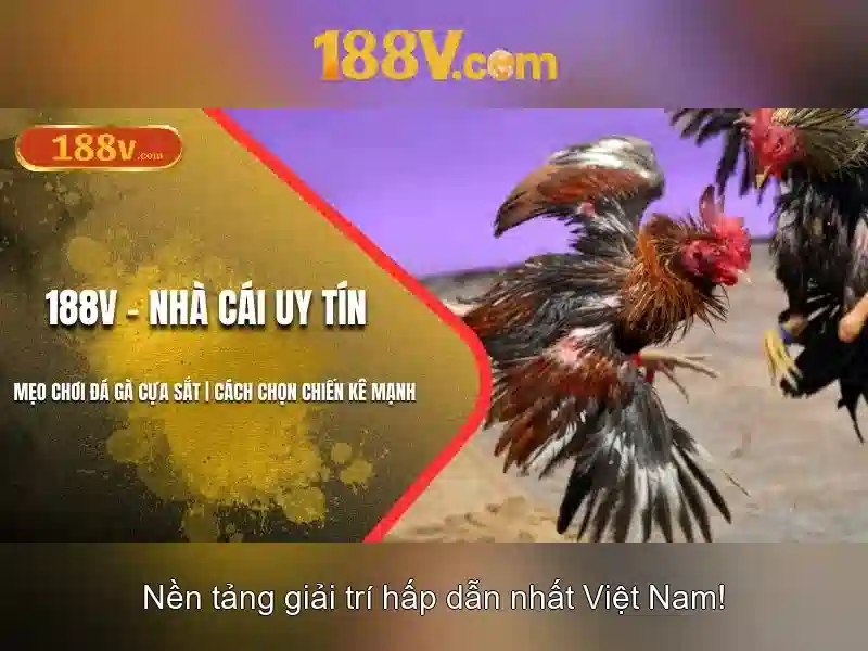 Khái niệm 188V và ứng dụng của mức điện áp này