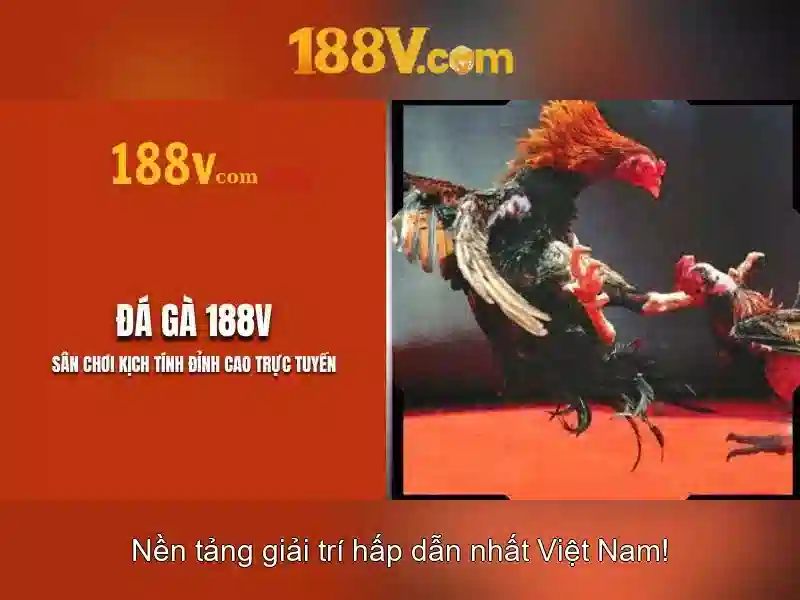 Khái niệm 188v