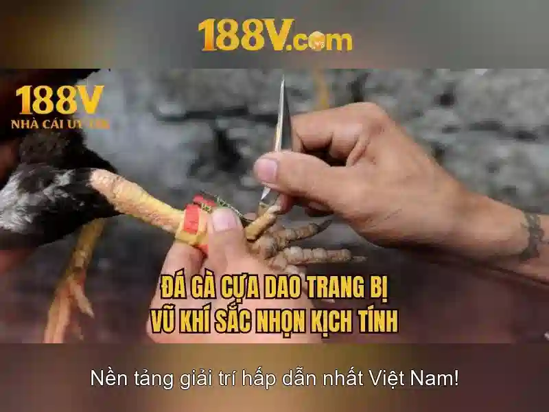 Khởi nguồn của 188v Khởi nguồn của 188v