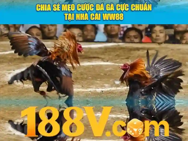 Khái niệm cơ bản về 188v Khái niệm cơ bản về 188v