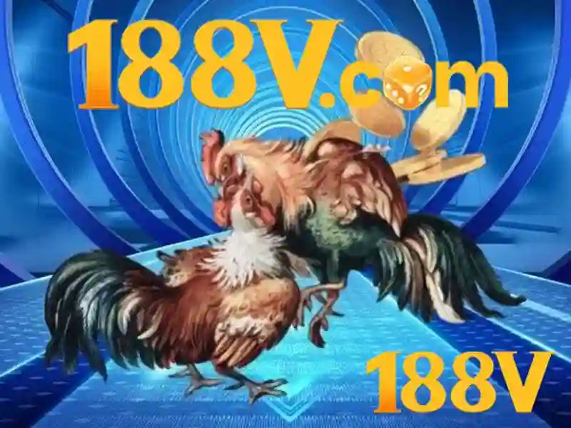 Sản phẩm và dịch vụ cốt lõi của 188v đang nhập